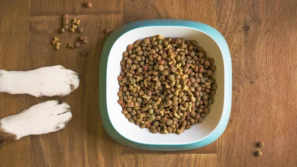Saco de ração seca para cães ao lado de grãos de milho, sugerindo a origem das micotoxinas