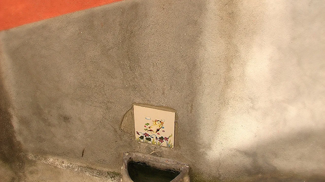 Gato bebendo água de uma tigela em ambiente doméstico