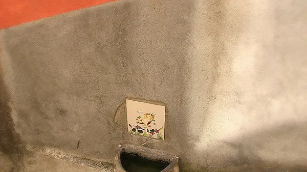Gato bebendo água de uma tigela em ambiente doméstico